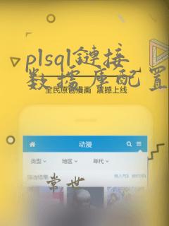 plsql链接数据库配置