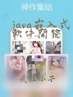 java嵌入式软件开发