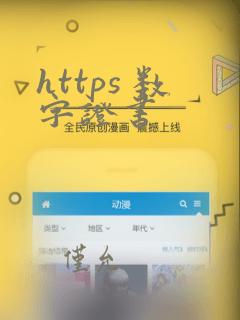 https 数字证书