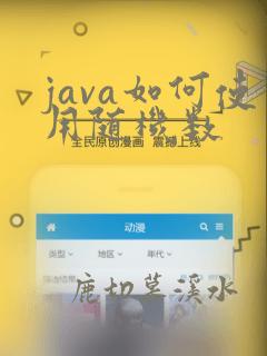 java如何使用随机数