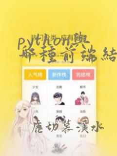 python与哪种前端结合效率高