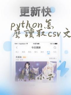 python怎么读取csv文件