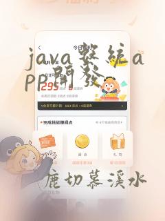 java系统app开发