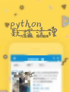 python 数据清理