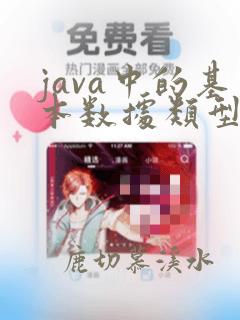 java中的基本数据类型有哪些