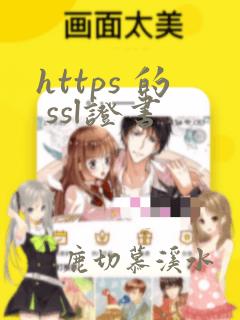 https 的 ssl证书