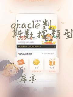 oracle判断数据类型