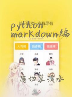 python markdown编辑器