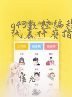 g43数控编程代表什么指令