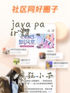 java pair类