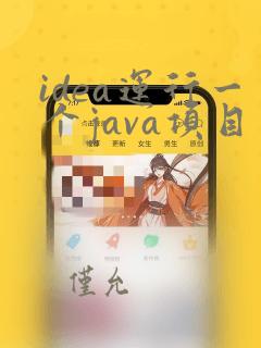 idea运行一个java项目
