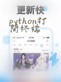 python打开终端