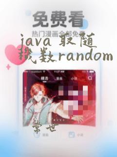 java 取随机数random