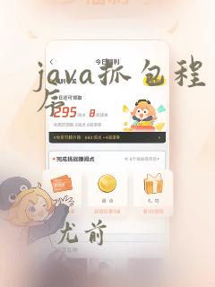 java抓包程序