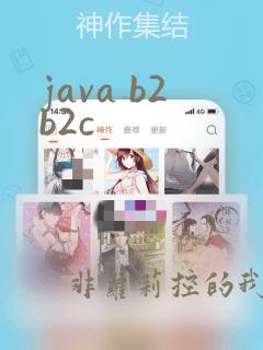 java b2b2c