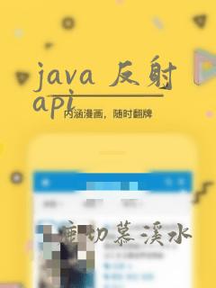 java 反射api