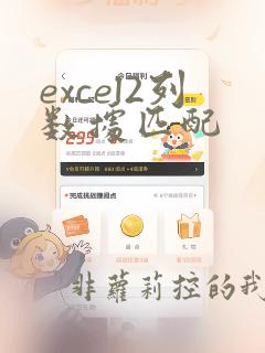 excel2列数据匹配