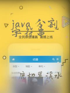 java 分割字符串