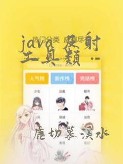 java 反射工具类
