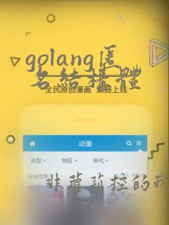 golang匿名结构体