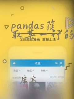pandas获取某一行的数据