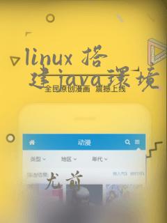 linux 搭建java环境