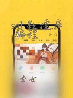 sql 数据库 编程