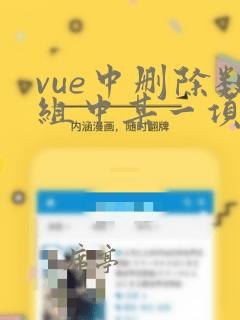 vue中删除数组中某一项