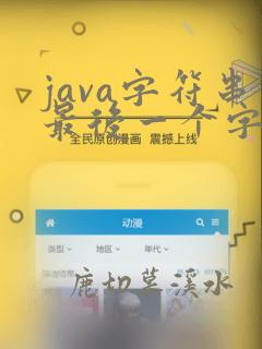 java字符串最后一个字符