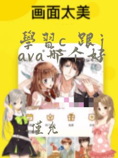 学习c 跟java哪个好