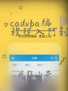 cadvba编程从入门到精通