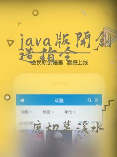 java版开创造指令