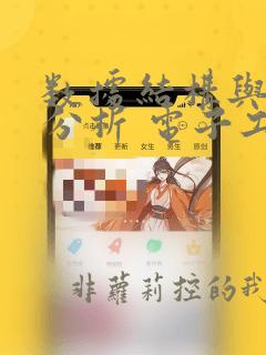 数据结构与算法分析 电子工业出版社