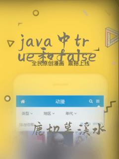 java中true和false
