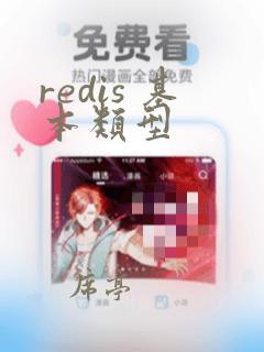 redis 基本类型