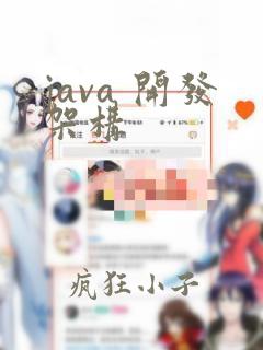 java 开发架构