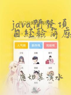 java开发项目经验简历