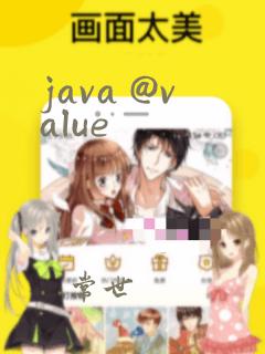 java @value