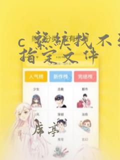 c 系统找不到指定文件