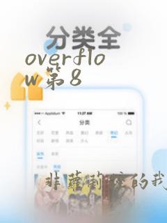 overflow第8