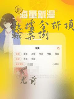 数据分析项目经验案例
