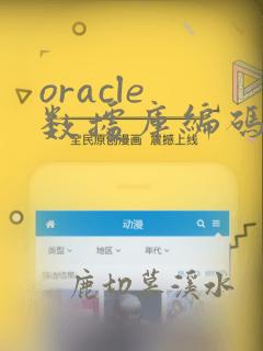 oracle 数据库编码