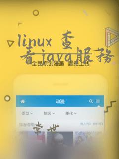 linux 查看java服务