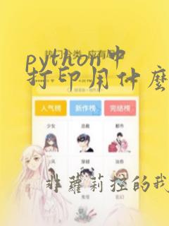 python中打印用什么函数