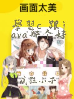 学习c 跟java哪个好