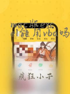 mac版excel能用vba吗