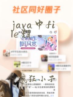 java中file类