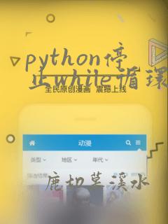 python停止while循环
