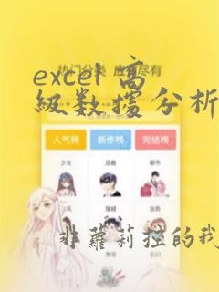 excel 高级数据分析