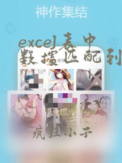 excel表中数据匹配到另一个表